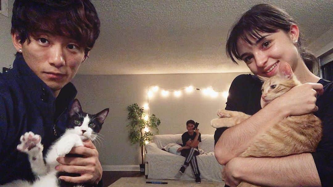 ヤマカイさんのインスタグラム写真 ヤマカイinstagram ぬこ様 猫 ねこ ネコ Cats Cats Animals Animalplanet Animalplanettakata アメリカ テキサス 国際カップル 海外生活 Texas Usa Fortworth 9月25日 12時51分 Yamakai Official