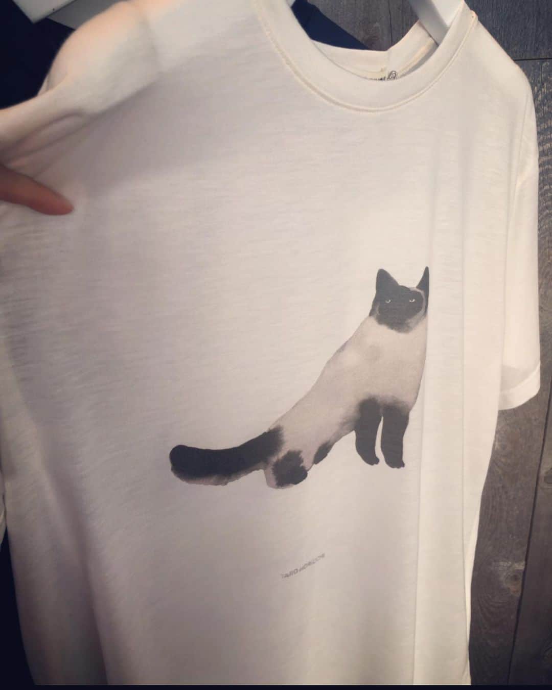 犬山紙子さんのインスタグラム写真 - (犬山紙子Instagram)「DEAR猫が好きな人  ヒント 今期の @tarohoriuchi タロウホリウチ」9月25日 12時55分 - inuyamakamiko