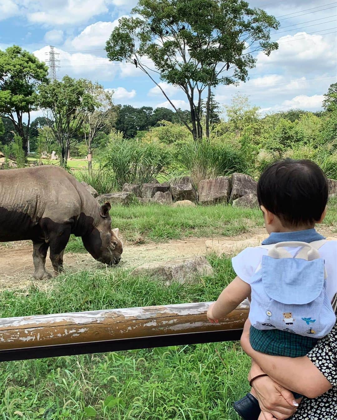 愛川ゆず季さんのインスタグラム写真 - (愛川ゆず季Instagram)「こんにちは。 はじめての動物園ズーラシアにいってきたよ。 わたしも初ズーラシア！ . ひろすぎるので とりあえず、奥の方までバスで行き 笑 . 坊っちゃんベビーカーに乗ってくれず 炎天下の下 汗だく抱っこ💪💦 . カバさん . オカピ！！！ .  カッコ良い！ .  ライオンさん . まさかのミーアキャットに大興奮😂 .  馬の餌やりも体験出来たのですが わたしがびびりまくり 震えてとびあがる😱💦馬さんの歯茎半端ない。 .  楽しそうでなにより。 もう少し大きくなったらまたいきたいな^ ^ . #ズーラシア #男の子ママ #新米ママ #愛川ゆず季」9月25日 13時34分 - aikawa_yuzuki