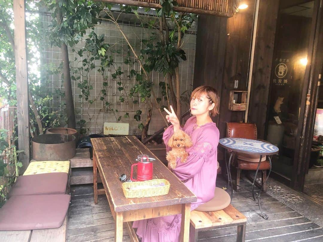 近藤夏子さんのインスタグラム写真 - (近藤夏子Instagram)「愛犬のアンちゃまと一緒に過ごせるお店❤️ もっともっと増えて欲しいなぁ✨ 海外だとたくさんあるのに、日本はまだまだ少なくて😢 愛犬家の皆様と情報交換していきたい。そんな今日この頃です🐶 #愛犬 #トイプードル #アンちゃま #愛犬家 #犬同伴 #犬同伴カフェ #アンちゃま飼う前から通ってるお店 #婆娑羅 #チャー丼」9月25日 14時04分 - kondonatsuko