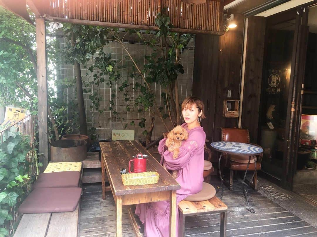 近藤夏子さんのインスタグラム写真 - (近藤夏子Instagram)「愛犬のアンちゃまと一緒に過ごせるお店❤️ もっともっと増えて欲しいなぁ✨ 海外だとたくさんあるのに、日本はまだまだ少なくて😢 愛犬家の皆様と情報交換していきたい。そんな今日この頃です🐶 #愛犬 #トイプードル #アンちゃま #愛犬家 #犬同伴 #犬同伴カフェ #アンちゃま飼う前から通ってるお店 #婆娑羅 #チャー丼」9月25日 14時04分 - kondonatsuko