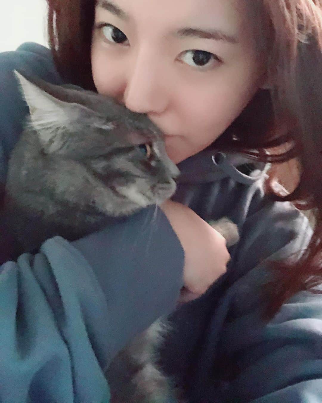 サニー のインスタグラム：「너어는..... 어쩜....... #하루가다르게무럭무럭 #더클꺼니 #믿기지않겠지만 #후추 #고양이확대범」