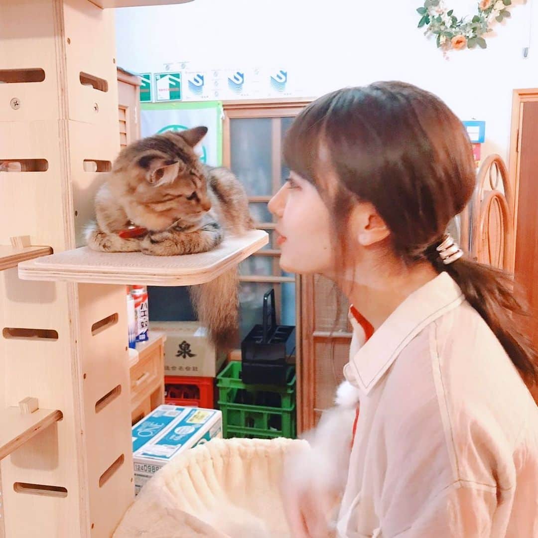 門脇佳奈子さんのインスタグラム写真 - (門脇佳奈子Instagram)「⭐️ 猫可愛すぎやねんけど🤭 * 猫ってこんなに可愛いの🤭 * * もっと早く教えてよ🤭 * * * #猫 #CAT」9月25日 17時59分 - kanakoofficial