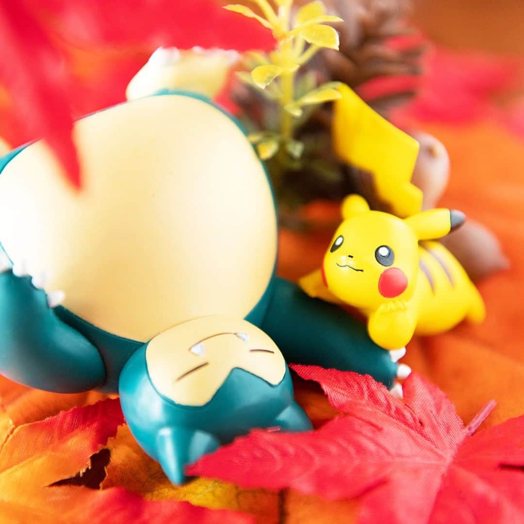 ピカチュウ公式Instagramさんのインスタグラム写真 - (ピカチュウ公式InstagramInstagram)「【今日のピカチュウ】 天気のいい今日はカビゴンと一緒に遊んでいるよ🤗 紅葉を見つけて、早速ごろーん🍁 #pikachu #snorlax #pokemon #pikachu_snap #photooftheday #maple #relax #nap #zzz #autumn #fall #ピカチュウ #カビゴン #ポケモン #紅葉 #休憩 #リラックス #お昼寝 #秋」9月25日 18時00分 - pokemon_jpn