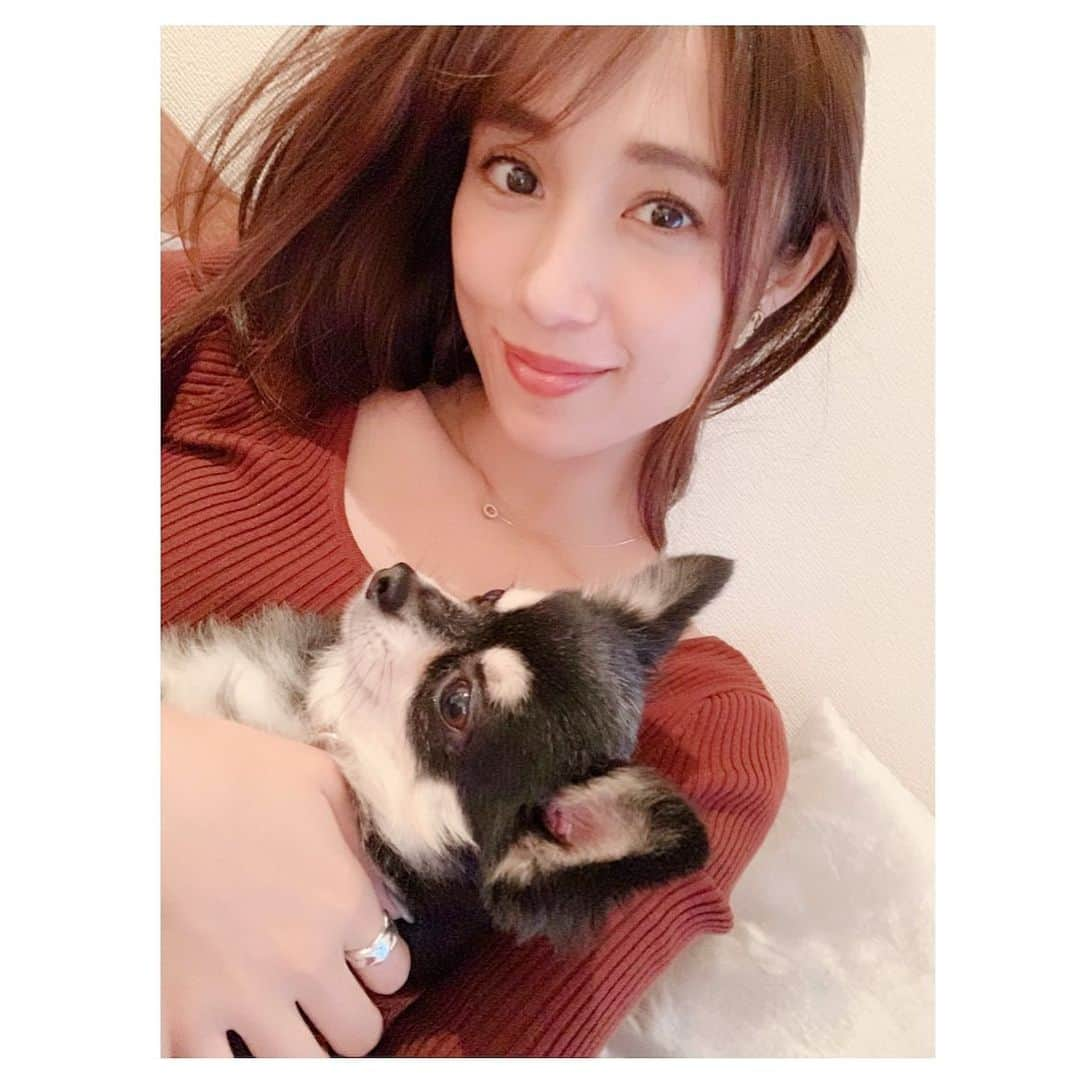 広瀬未花さんのインスタグラム写真 - (広瀬未花Instagram)「comforts me ☺︎♡ ・ 癒しの時間♡ 涼しくなってきて、タオとのお散歩も気持ちい季節♪ ・ ・ ・ #癒しの時間 #タオ #タオ丸」9月25日 18時05分 - micahirose