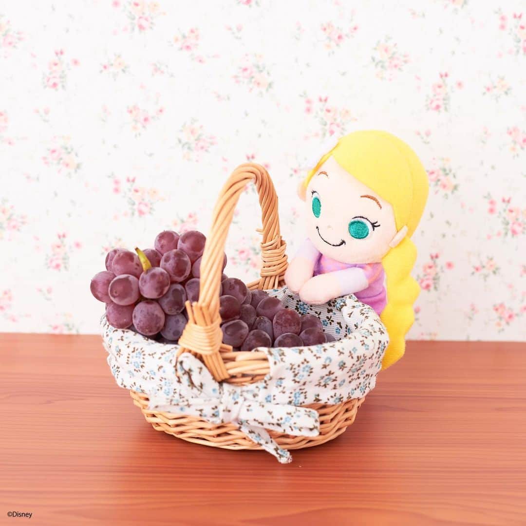 のインスタグラム：「#20190925 * ラプンツェルはぶどうの横でちょっこり あまくておいしいぶどう、たくさんめしあがれ！ * #ちょっこりさん #ディズニー#ディズニーグッズ #ぬい撮り#ぬいぐるみ #chokkorisan#disney #takaratomyarts #ぬいぐるみと撮り隊 #disney写真部 #ディズニーグッズ #ちょっこりさん好きな人とつながりたい」