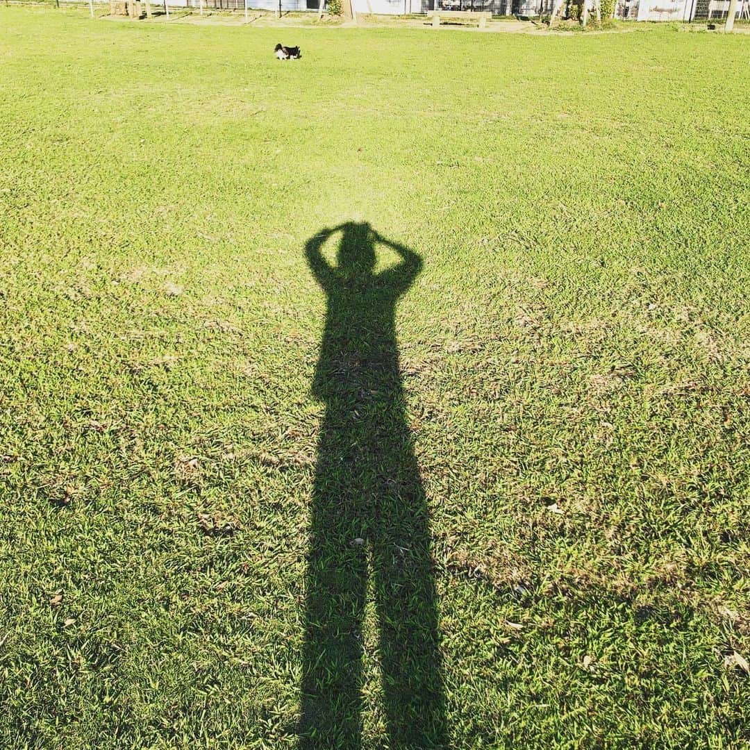 小野真弓さんのインスタグラム写真 - (小野真弓Instagram)「影と犬。👁 のどかです〜🍃 ドッグラン貸切状態🐶🐶✨ #影絵#ドッグラン#西日#秋の夕暮れ#田舎好き#千葉県#袖ヶ浦市 今日も一日お疲れ様でした🍻( ´ ▽ ` )」9月25日 18時59分 - hanaharuaroi