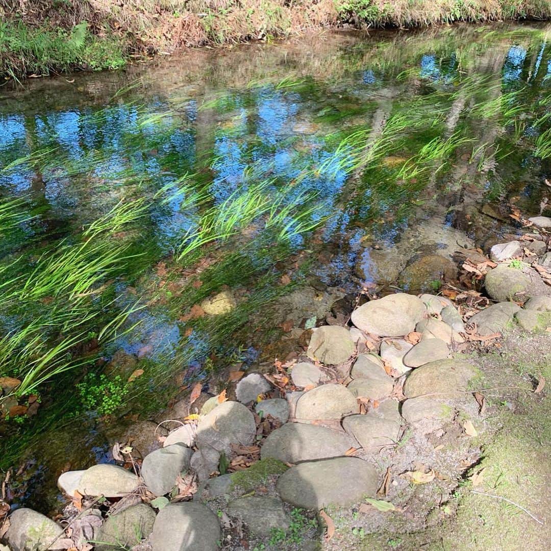 江本るり恵さんのインスタグラム写真 - (江本るり恵Instagram)「お休みを頂いて北海道へ。 最初は六花の森🌳 更新続きますが見ていただけたら嬉しいです🙏🧡 #六花の森」9月25日 19時04分 - emotorurie