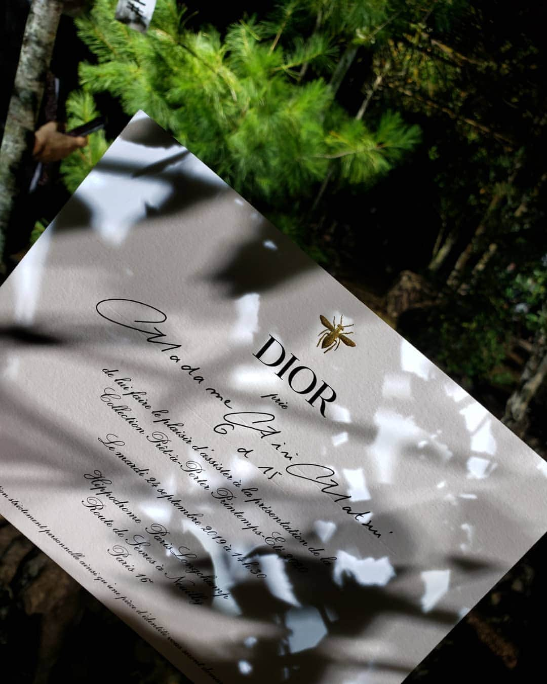 松井愛莉さんのインスタグラム写真 - (松井愛莉Instagram)「@dior  #DiorSS20 #MariaGraziaChiuri #PlantingForTheFuture」9月25日 20時16分 - airi1226_official