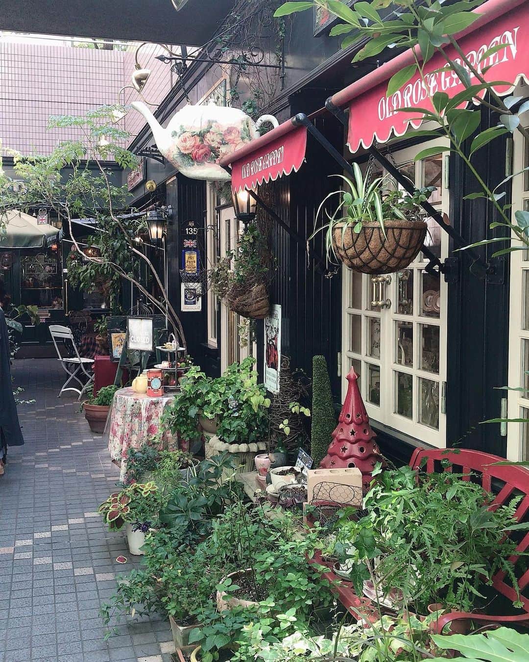 花城アリアのグルメインスタ