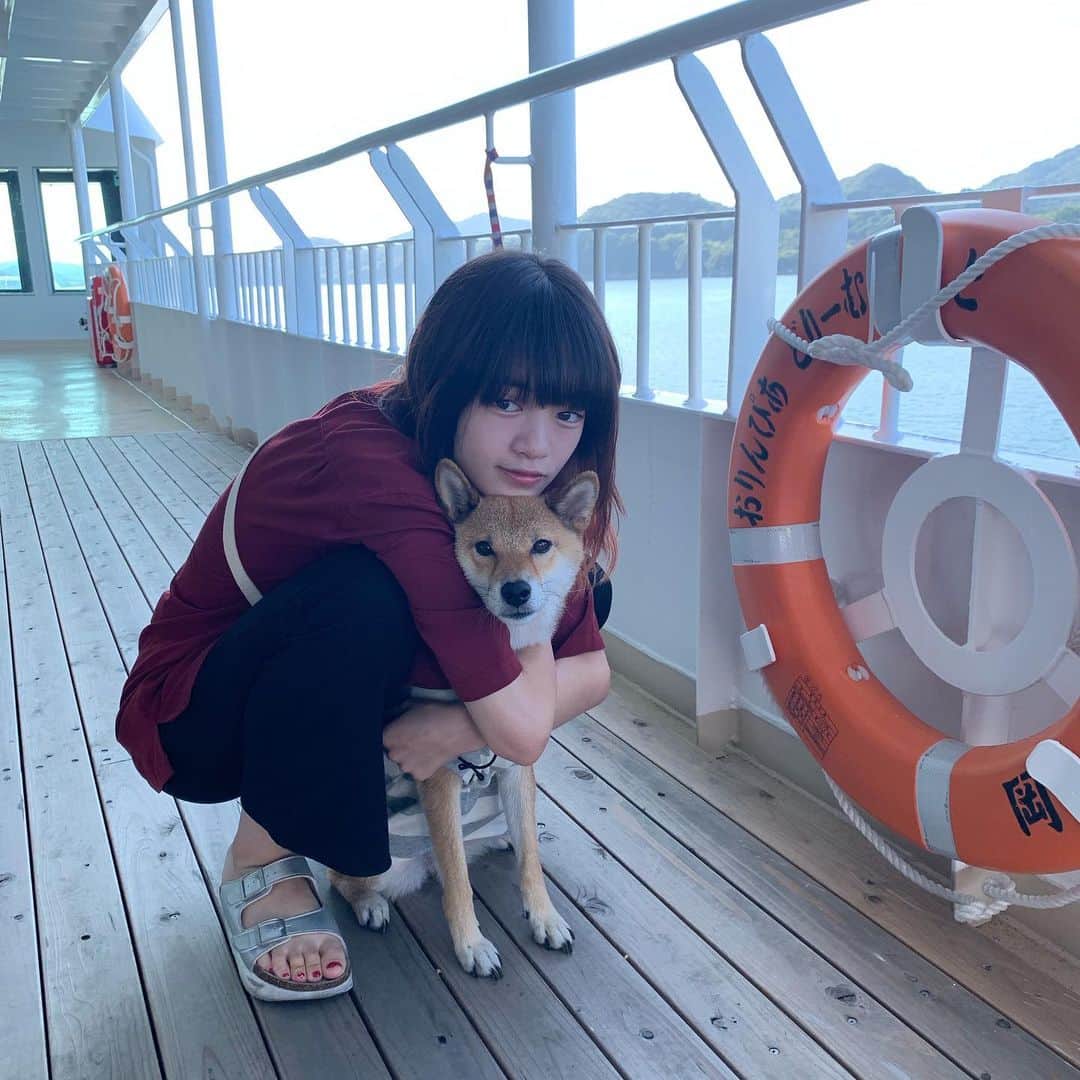 mihoro*さんのインスタグラム写真 - (mihoro*Instagram)「. ほた、かわいい。尊い。あぁ、、 #柴犬 #イッヌ」9月25日 21時45分 - mimimi.313131
