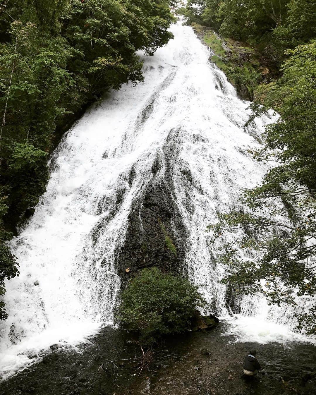 のインスタグラム：「週末は栃木県の日光へ。 樹木の精になってきました。  Nikko, Tochigi, JAPN  #日光」