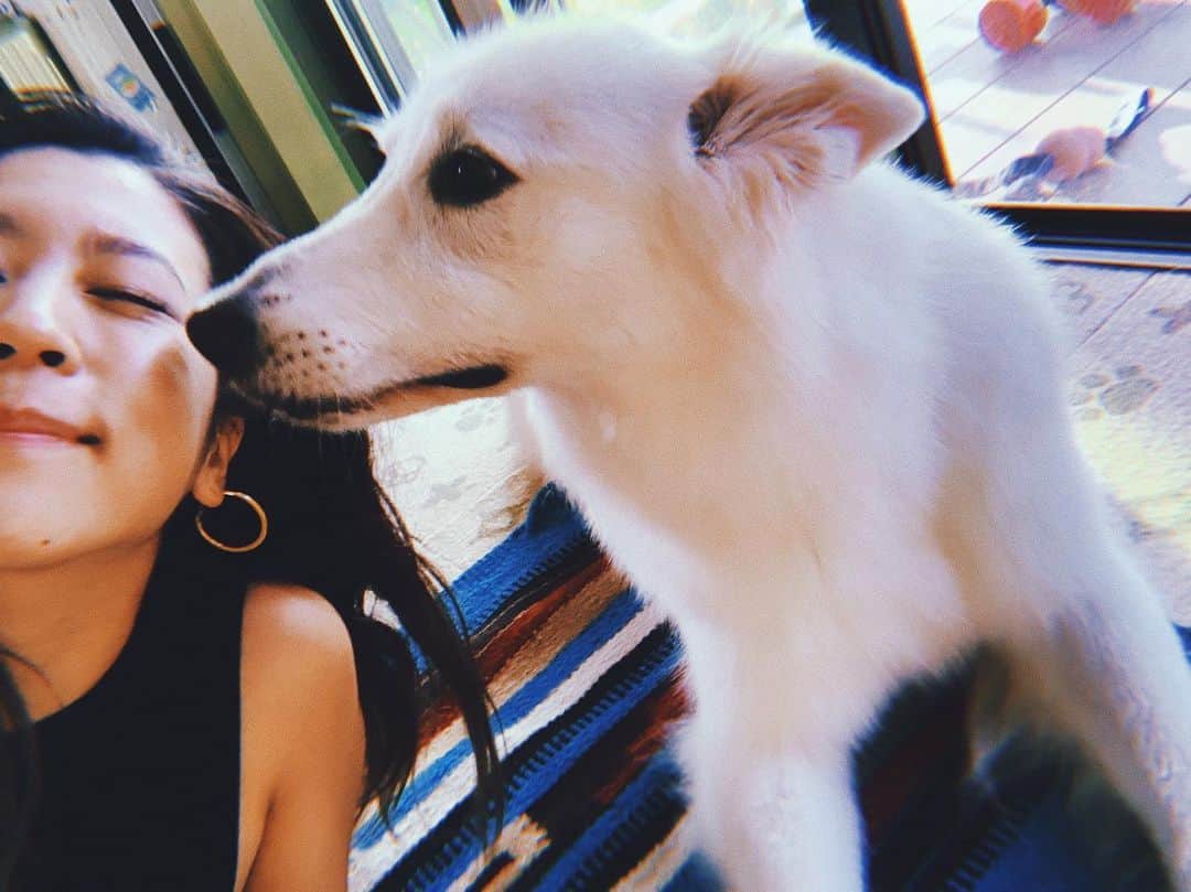 のインスタグラム：「⠀⠀⠀⠀⠀⠀⠀⠀⠀ ターミネーター久しぶりにみた！笑 かっこいい。 はやく新作を見たいなー👀 シュワちゃん凄すぎる！ だいすきな映画みんなありますか？ いろんな映画を最近見てます🌟 ステキな映画があれば是非教えてください！ けっこうどんなジャンルでもOK！ とりあえず、、、 ⠀⠀⠀⠀⠀⠀⠀⠀⠀ “I’ll be back“ ... 😎👋🏻」