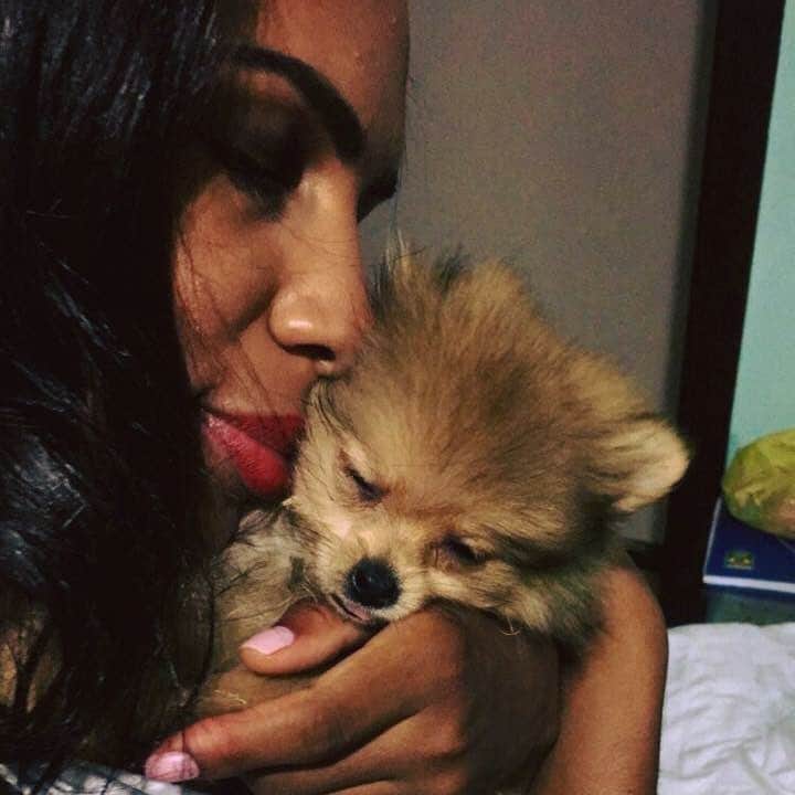 エリカ・ミランダのインスタグラム：「Feliz aniversário amor da mamãe!❤️ 3 anos de muito amor, lambidas, mordidas e muitaaaaa felicidade! Mamãe te ama demais❤️🦊 #tetekinho #zabudiador #coragem #mamaeama #spitzalemao #luludapomerania」