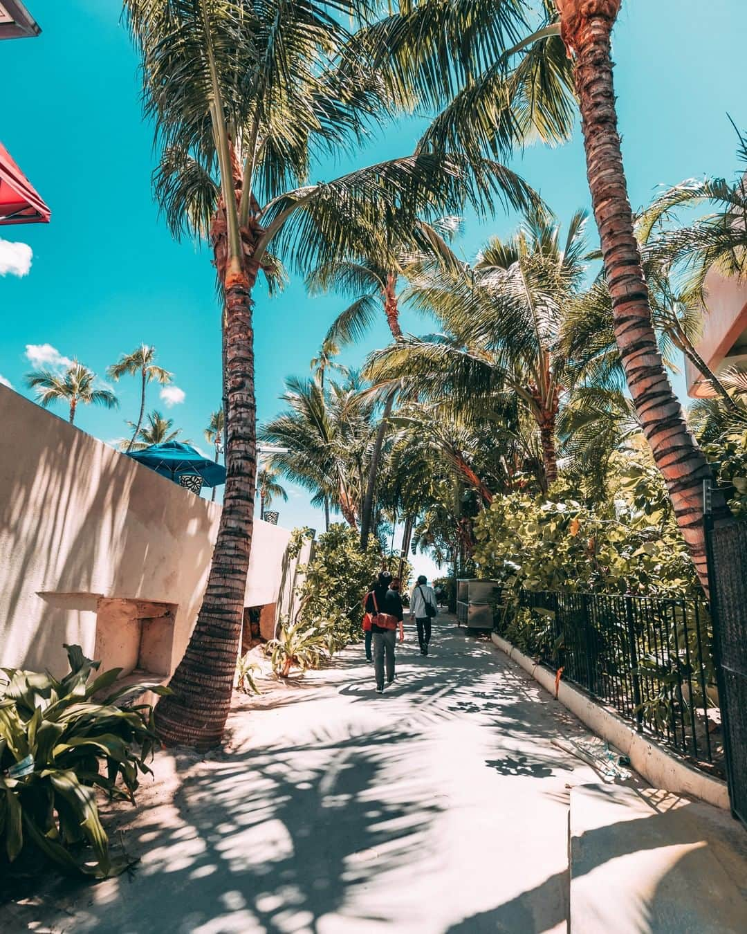 Popits Hawaiiさんのインスタグラム写真 - (Popits HawaiiInstagram)「Nothing but blue skies🌞⁠ ⁠ ⁠ #popitshawaii #ポピッツ #sandals #charms #alohastate #luckywelivehawaii #waikiki #footwear #thong #happyfeet #flipflops #slippers #ハワイ #ハワイ旅行 #ハワイ好き #ハワイ大好き #ハワイ好きな人と繋がりたい #ビーチサンダル #フラ #フラダンス #占い #honolulu #oahu #bluesky #paradisefound」9月26日 7時00分 - popitshawaii