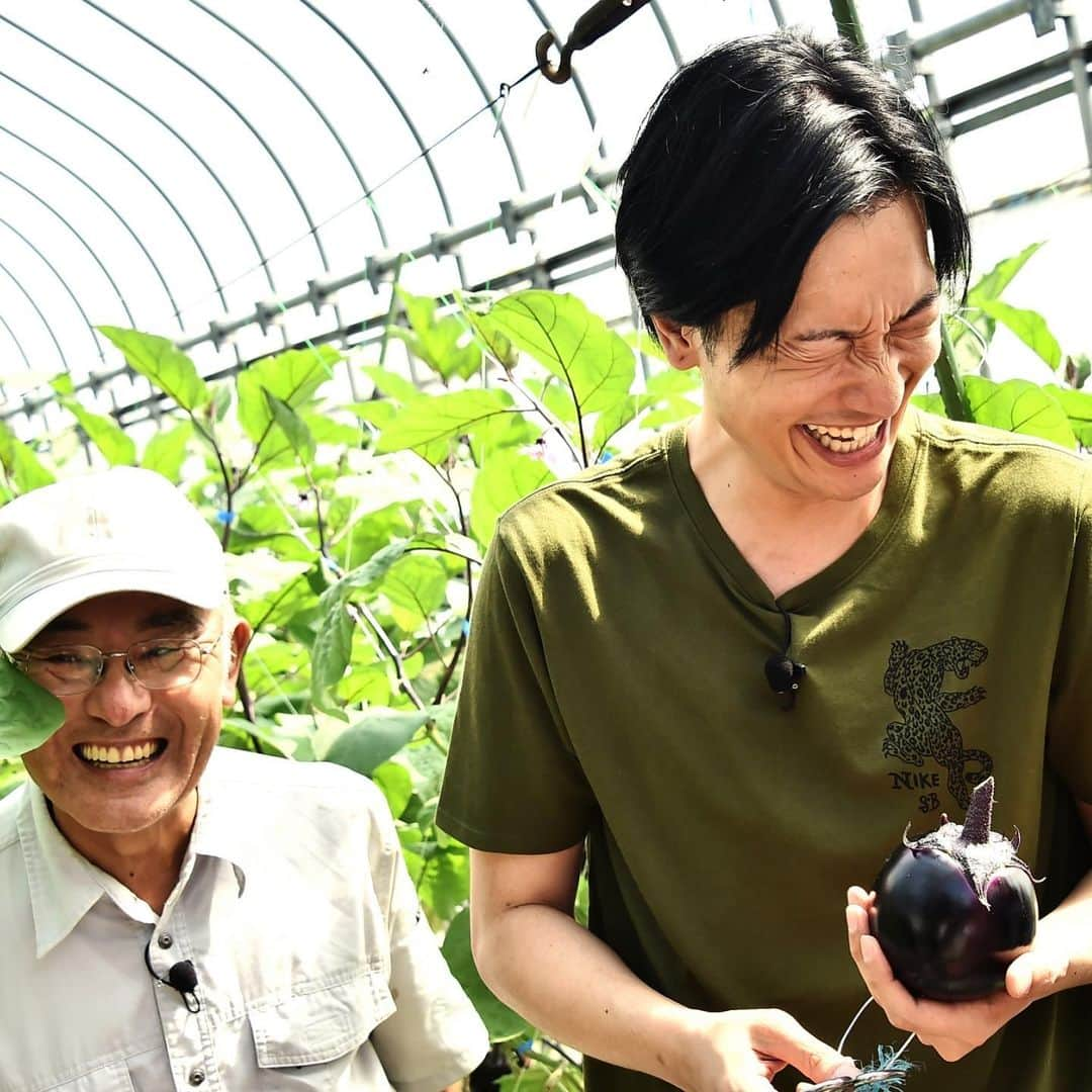 日本テレビ「満天☆青空レストラン」さんのインスタグラム写真 - (日本テレビ「満天☆青空レストラン」Instagram)「みんなでナス狩り♪  このナス、、、 丸くて可愛い見た目だけじゃない！？ 凄い美味しさを秘めておりました⭐︎ ゲストは、 相席スタートの2人！ 土曜日放送です！お楽しみに！！ #満天青空レストラン #青空レストラン  #青空 #青レス #満天  #宮川大輔  #大ちゃん  #うまい  #日テレ  #日本テレビ  #新潟県#糸魚川市 #秋 #ロケ  #畑 #越の丸ナス #相席スタート」9月26日 10時16分 - aozora_official