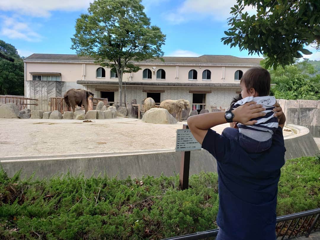 のインスタグラム：「初めての動物園🐘 楽しかったけど歩き疲れて大人はぐったり👨‍👩‍👦 #次いつ行くのかわからないけど #年間パスポート買ってみた🐘」