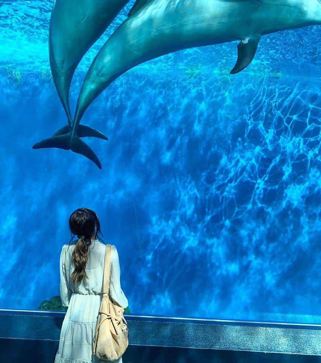 榊本麻衣さんのインスタグラム写真 - (榊本麻衣Instagram)「♡♡ . . " 八景島シーパラダイス 🐬⚓❤️ " . . 初めて行ってきたぁっ☺️✨ . . みて！！！この写真😍！！！ (ちゃんと全部の写真みてね🥰) . . 奇跡の写真やと思ってる🥺💓 . イルカが2頭並んで泳いでた所を激写✨ . こんな綺麗に並走して泳ぐことあるんやなっ🙊💋 . 仲良しの夫婦なんかな🙈💘？ . なんか見てて嬉しくなっちゃって ニヤニヤしてたぁ😙✨ . . 久しぶりに水族館行ってきたけど、 色んな生き物に会えて癒されたぁ🐧💋 . . #八景島シーパラダイス #イルカ #🐬 #八景島 #シーパラダイス #アソビュー #asoview #asoview公式アンバサダー #海遊館 #水族館 #国内旅行 #旅行 #女子旅」9月26日 20時39分 - maipipii