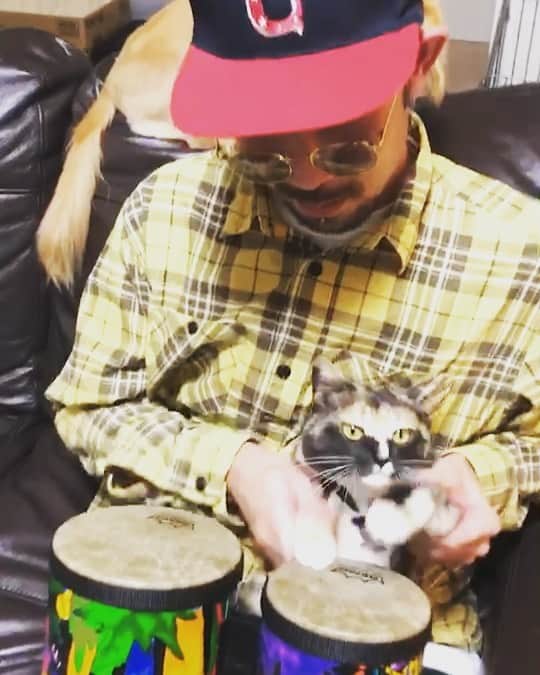 藤原広明のインスタグラム：「新しい楽器を買いました🥁」