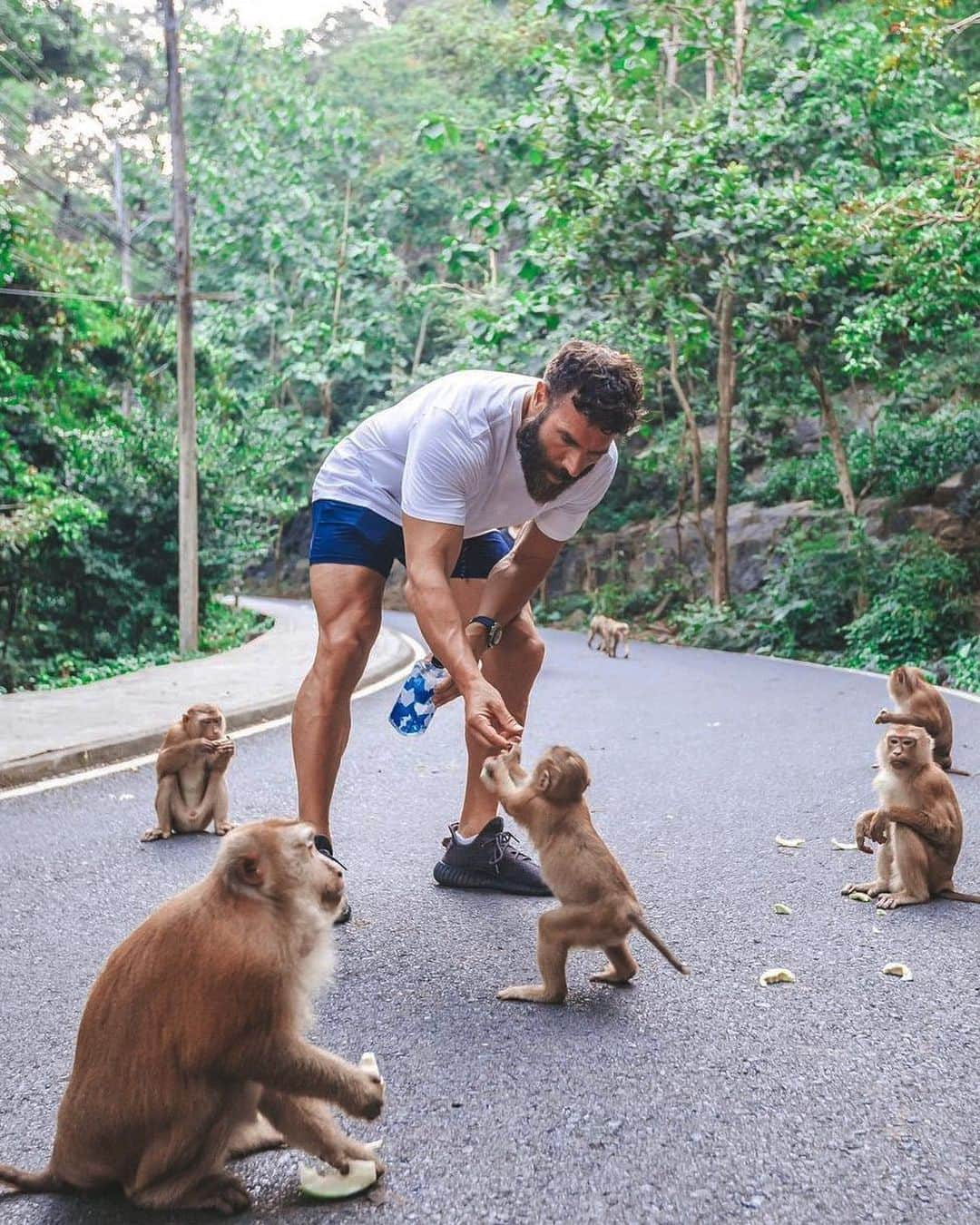 ダン・ビルツァーアンのインスタグラム：「🐒」