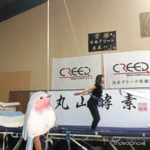 若林美保のグルメインスタ