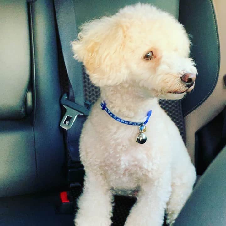 金村義明のグルメインスタ