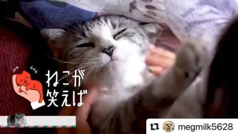坂本美雨のインスタグラム