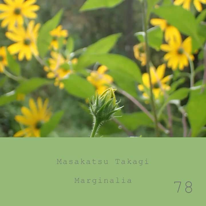 高木正勝のインスタグラム：「秋は、春に似て、たくさんの花が咲き、鳥や虫やけものが大いに歌っています。彼らの歌を聞いて、今すぐにでも録音したいと思うのですが、一緒に奏でる曲が思い浮かばず。そんな時はただ耳を澄ませて正しい時が来るのを待ちます。  高木正勝　Marginalia マージナリア 78  Bandcampにてフル視聴・購入できます。﻿ ﻿ https://takagimasakatsu.bandcamp.com/」