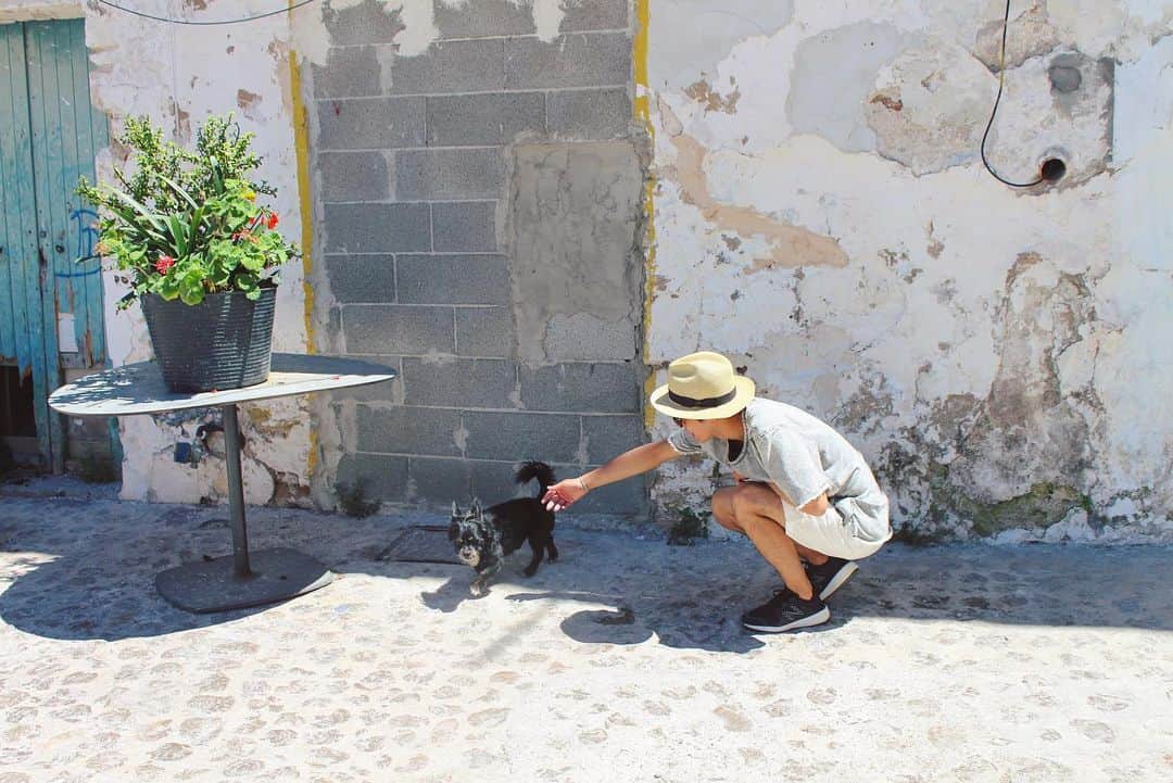 のインスタグラム：「なぜ、犬は人から愛されるのか？﻿🤔 ﻿ それは、はち切れんばかりに、目一杯しっぽを振って、全身で喜ぶから。﻿ ﻿ ﻿ だから人は、犬をさらに可愛がる。﻿ ﻿ 愛される人とは、素直に喜べる人。﻿ ﻿ ﻿ ゆえに、仕事を頼まれたら「ハイ！喜んで」と即答する人に、さらに、いい仕事がやってくる。﻿ ﻿ ﻿ 何かをもらったら「ありがとうございます！」と全身で喜ぶ人に、さらに、モノもチャンスも回ってくる。﻿ ﻿ ﻿ 愛され上手は、喜び上手だよね🐶✨﻿ ﻿ ﻿ ﻿ ﻿ #spain #ibiza  #travelling #beautiful #travel #trip #journey #travelgram #love #happy #dog #nature  #instagood #fashion #amazing #photooftheday  #island #traveler #relax #instatravel #travellover  #スペイン  #イビサ島 #海外 #海外旅行 #旅  #旅行  #海外生活 #🐶 #🇪🇸」
