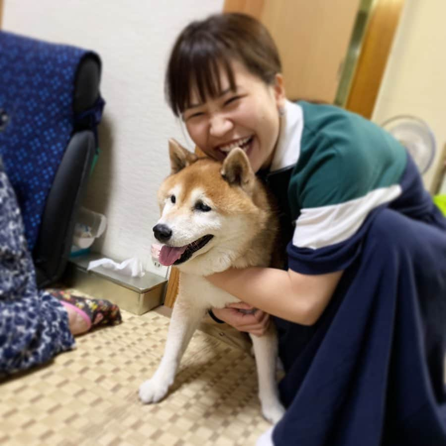 大関れいかさんのインスタグラム写真 - (大関れいかInstagram)「. そいえば9/15は犬の15歳の誕生日だた🐶 ガッツおめでとう㊗️ 4枚目が特にお気に入りです。 ほんとこの犬は可愛くて面白い。 一生愛してる卍😇 #ガッツ#15歳の犬#おめみ #shibainu#shibastagram」9月26日 19時50分 - _reikaoozeki