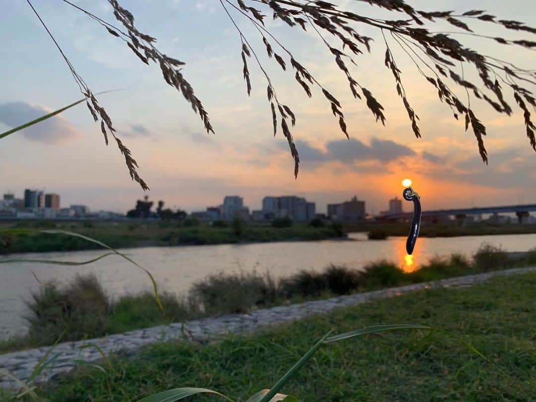 佐久間一行さんのインスタグラム写真 - (佐久間一行Instagram)「いい時間を過ごしました。  同じところにいても景色は変わっていって、楽しいものですね。  #佐久間一行 #川 #自然 #休憩 #夕日 #鳥」9月26日 19時59分 - sakuzari
