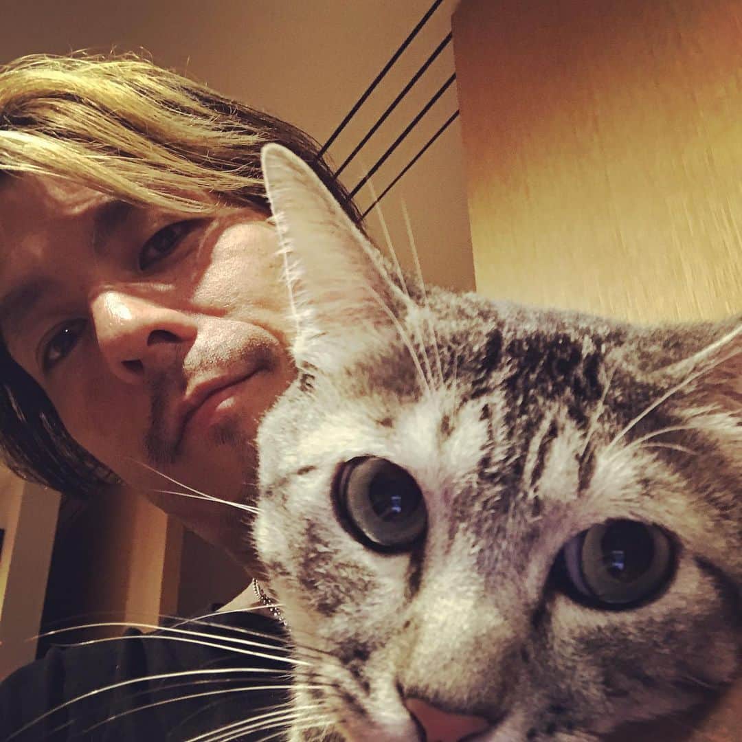 桜井誠さんのインスタグラム写真 - (桜井誠Instagram)「こまめはあんまり抱っこさせてくれないから、一緒に写真撮りづらいのだ🐱」9月26日 22時05分 - m_sakurai_da