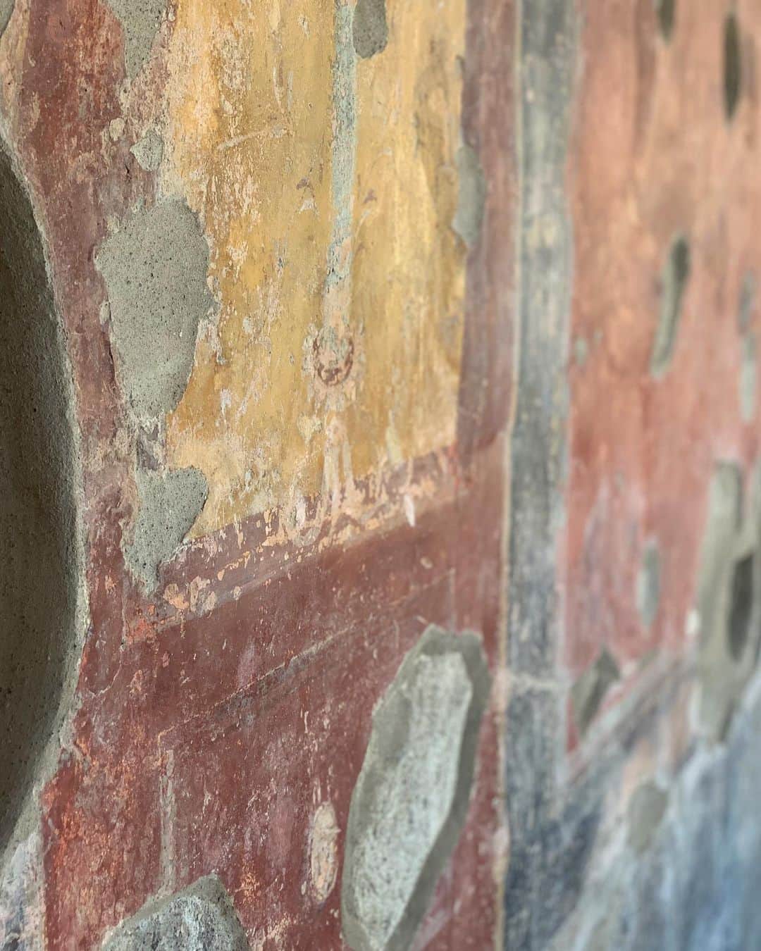吉村優さんのインスタグラム写真 - (吉村優Instagram)「ポンペイにいたニャンコ * 2000年前のポンペイには お風呂もサウナもパン屋さんも あったんですねぇ〜🧐 壁画も鮮明！！ 競技場も立派でした〜 * #italy #italia #pompeii #pompei #vesuvio  #イタリア #ポンペイ #歴史 #遺跡 #ニャンコ」9月26日 22時14分 - yuyoshimura87