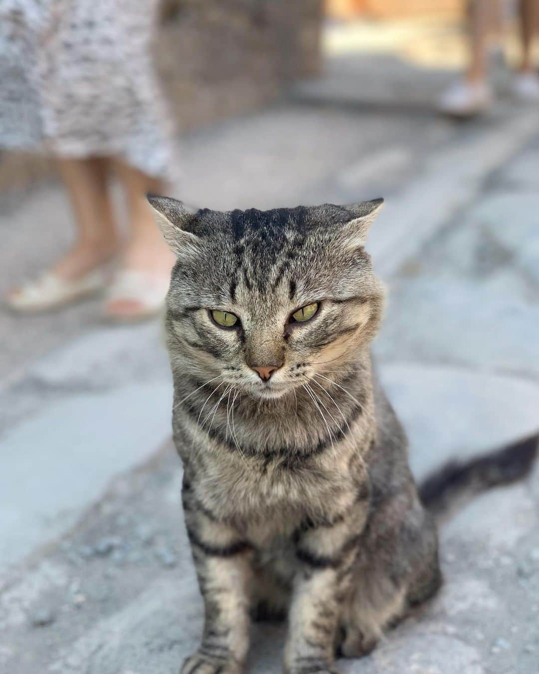 吉村優のインスタグラム