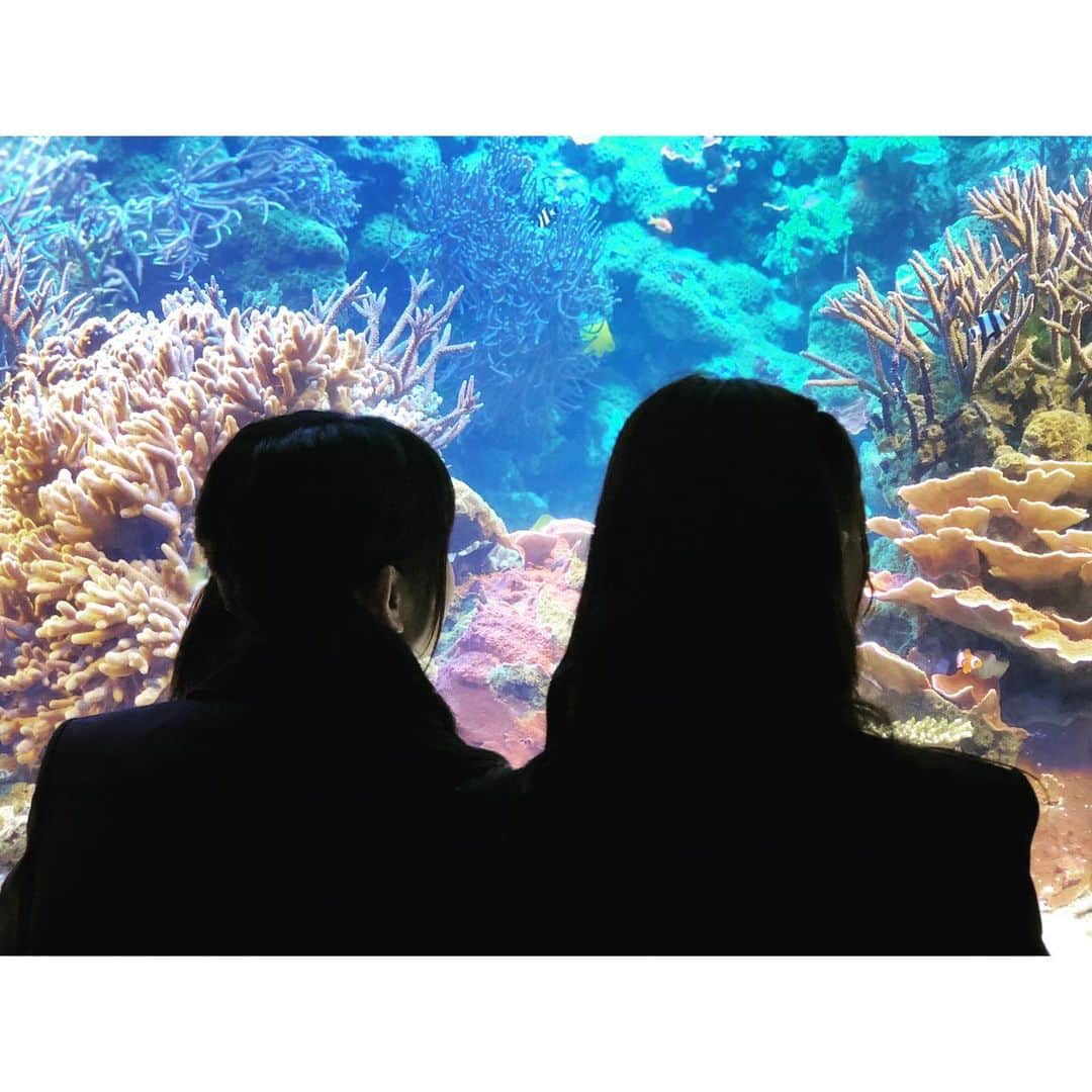井上瑠夏のインスタグラム