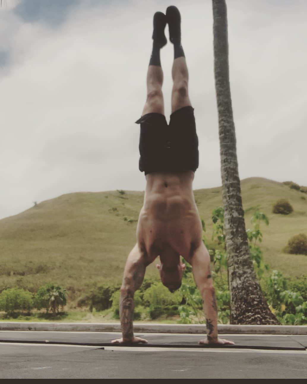 のインスタグラム：「Make like a tree and handstand 🌴🍂#fitness #handstand #workoutmotivation #abs #alltimelow #tattoos #hawaii #kailua #noshirt #letsgo」