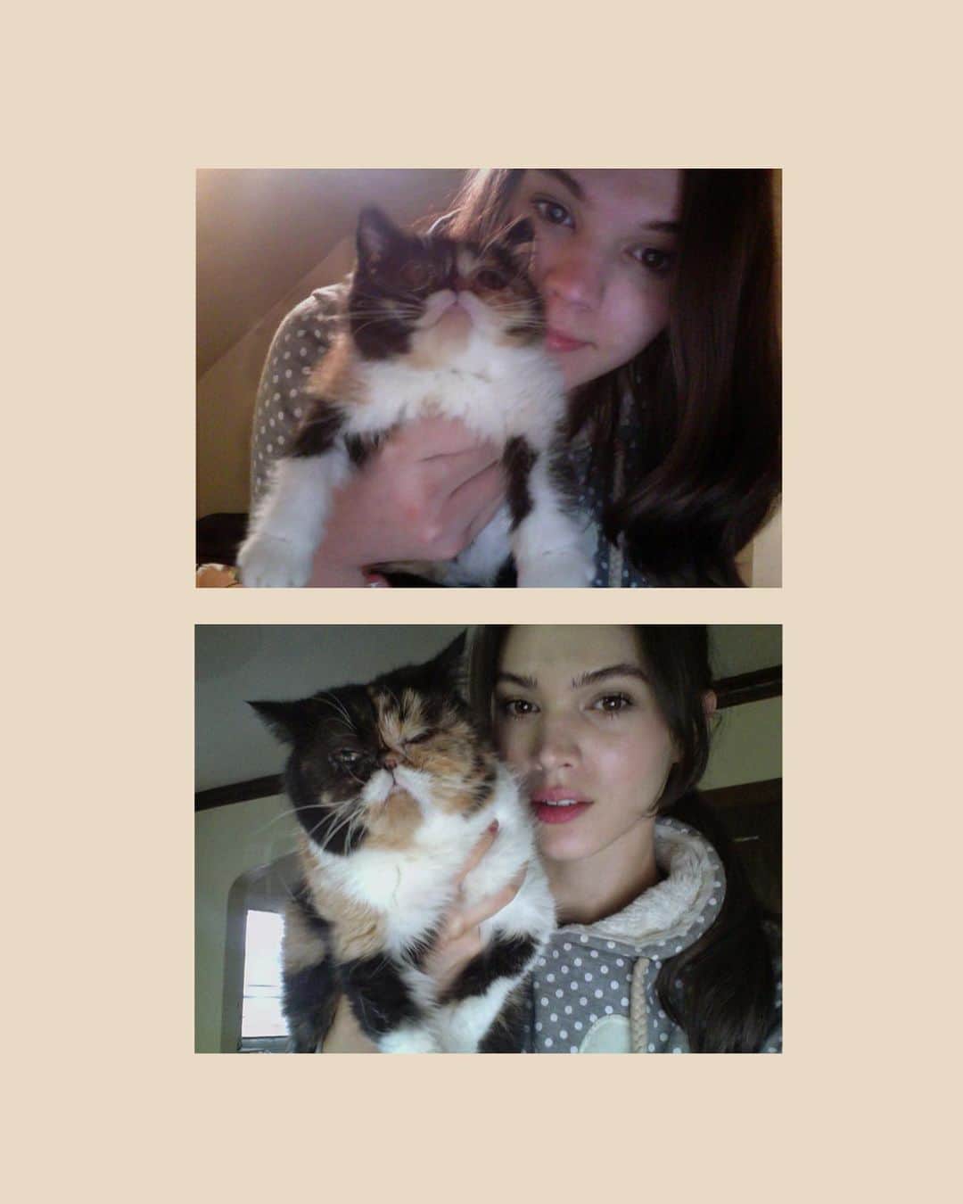Pudgeさんのインスタグラム写真 - (PudgeInstagram)「9 years ago, I took this photo with Pudge the second I came home with her. I started retaking this photo on the same day, every year since. I now hang on to this hoodie only for taking these photos 😂  Happy Pudgeversary to us! Swipe through for all the pics except 2017 which I can’t find right now! #pudgeversary」9月27日 8時30分 - pudgethecat