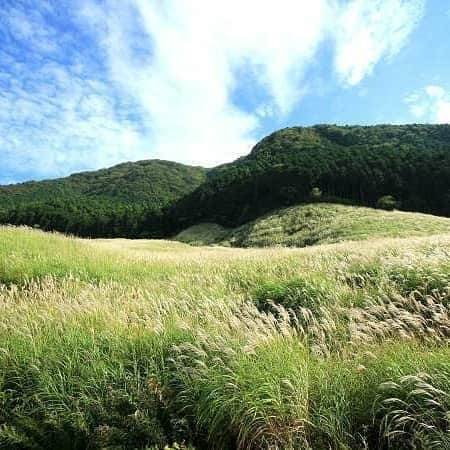 天翠茶寮のインスタグラム：「[9/28(土)のご予約受付中♨️] 明日28日の天翠茶寮の残室がわずかとなってまいりました。 離れの温泉露天風呂付のお部屋からリーズナブルなシャワーのみのお部屋までまだ残室がございますので、気になる方はお電話もしくはHPよりお問い合わせくださいませ。 . さて、日中も過ごしやすい今の時期は観光にもレジャーにもぴったり！ . この時期人気の観光スポットである仙石原のふもと一帯に広がるすすき平原も見頃を迎え始めました🍁 . ９月のすすきは銀色にきらきらと輝き、秋晴れの日は青空とのコントラストが絶景です✨ . 都心からのアクセスも便利な箱根へ是非遊びにいらしてください！ .  #箱根#強羅#天翠茶寮#ホテル#旅行#旅館#家族旅行#マタニティプラン#記念日#女子旅#マタニティプランのある宿#露天風呂#温泉#絶景#箱根カフェ#すすき#ススキ#仙石原#食欲の秋#グループ#hakone#japan#japantravel#japantravels#onsen#onsenryokan」