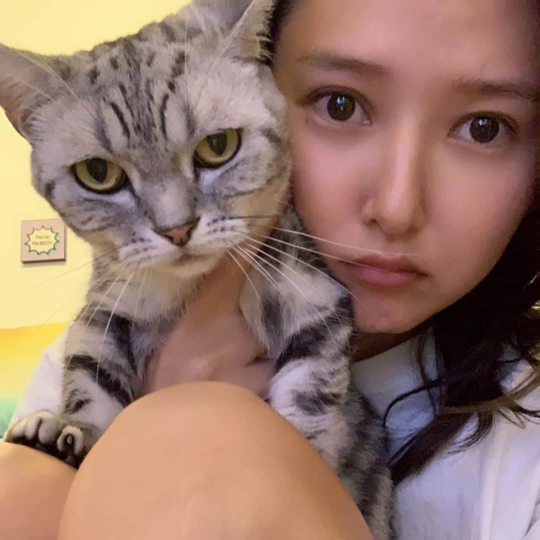 美優さんのインスタグラム写真 - (美優Instagram)「似てる？😼💦 久しぶりにこっこさんとのツーショット。 ・ コッコに似てるって言う人と、たつろうに似てるって言う人と、半々くらいいるんだけど… 寝起きですっぴんだし、目が浮腫んでるから今日はコッコ寄りかな？笑 ・ ・ #cat #猫 #ねこ #ネコ #neko #kitty #マンチカン #manchkin #munchikncat #petstagram #cats #にゃんすたぐらむ #猫のいる暮らし」9月27日 11時22分 - miyu11_20