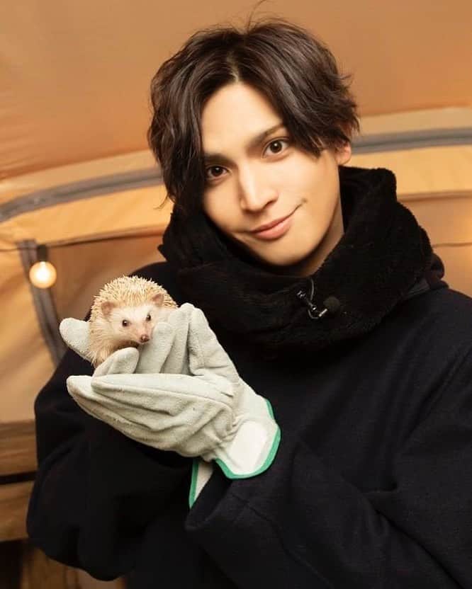 小波津亜廉のインスタグラム：「[27/9/19] Which porcupine would you rather pet?? ⠀⠀⠀ ⠀ #kohatsuallen ⠀⠀⠀ ⠀ Source: Tabimate’s twitter」