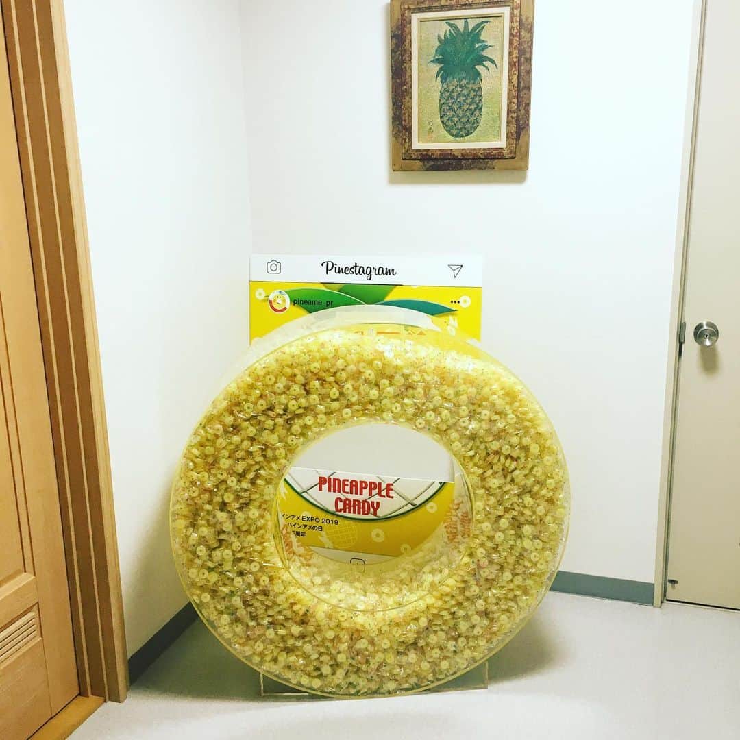 パインのインスタグラム