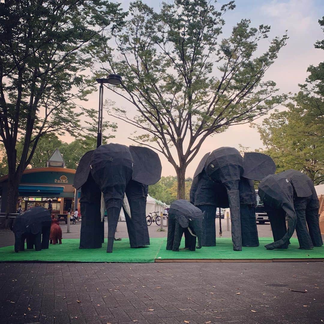 一三さんのインスタグラム写真 - (一三Instagram)「一三(いちぞう)，象に遭遇する⁉️ #一三 #いちぞう #ichizou #象 #エレファント #elephant #イベント #event」9月27日 18時06分 - ichizou.co.jp