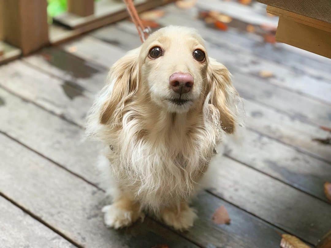 BETTYのインスタグラム：「友達がiPhoneで撮ってくれたよ🥰🥰」