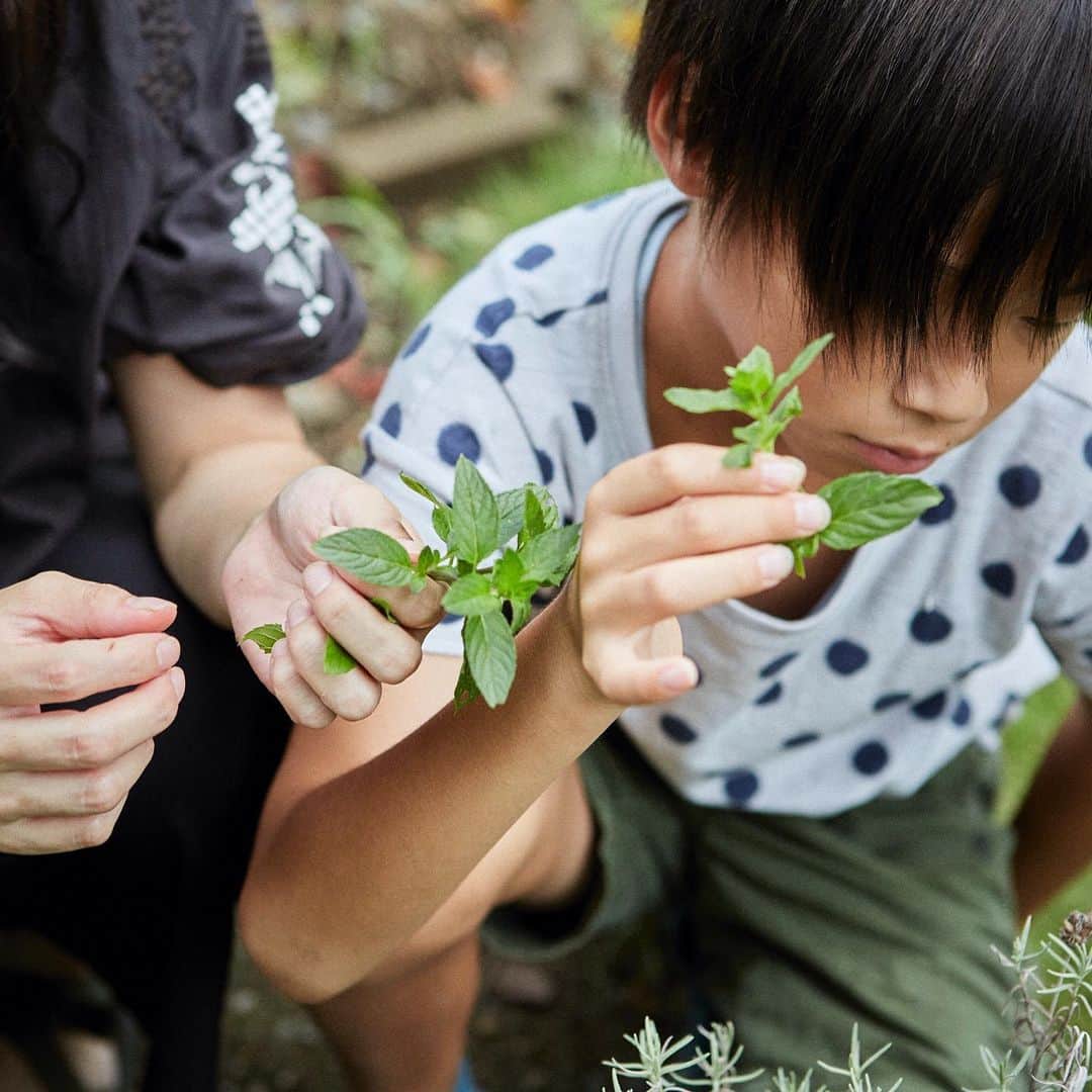 BESSの家さんのインスタグラム写真 - (BESSの家Instagram)「庭は学びの場でもあります。「気づいたら、子どもたちが植物や虫たちの名前をたくさん覚えていました」。 . https://www.bess.jp/ .	 #BESSの家 #住むより楽しむBESSの家 #住むより楽しむ #スローライフ #カントリーログ #木の家 #ログハウス #BESSオーナーの暮らし #BESSユーザーの暮らし #LOGWAY #梺ぐらし #暮らし #暮らしを楽しむ #自然とつながる暮らし #庭づくり #庭 #ガーデニング」9月27日 18時29分 - bess_slowlife