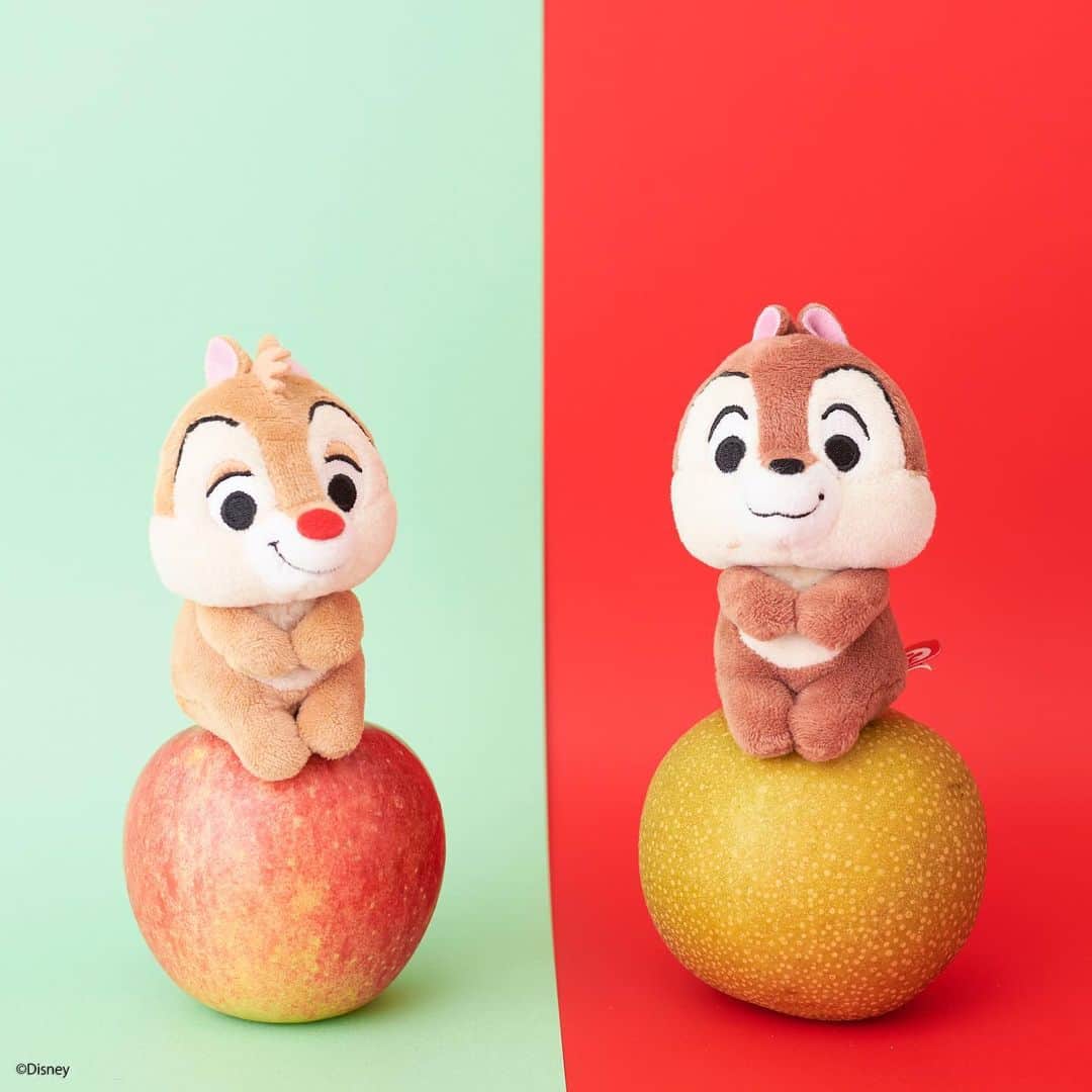のインスタグラム：「#20190927 * チップとデールはりんごの上でちょっこり 赤りんごと青りんご、どっちにするかまよっちゃうね * #ちょっこりさん #ディズニー#ディズニーグッズ #ぬい撮り#ぬいぐるみ #chokkorisan#disney #takaratomyarts #ぬいぐるみと撮り隊 #disney写真部 #ディズニーグッズ #ちょっこりさん好きな人とつながりたい」