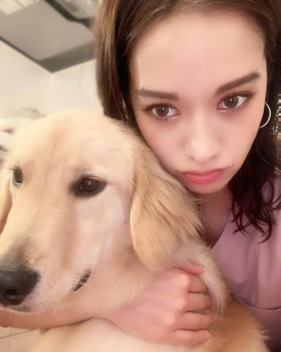 大森美知さんのインスタグラム写真 - (大森美知Instagram)「7ヶ月🤤♡🍼 まだ子供の毛並みでフワッフワ✨ #ゴールデンレトリバー #赤ちゃん #長政 #男の子 #dog #親友のワンちゃん #はじめまして」9月27日 19時25分 - michi_oomori_official