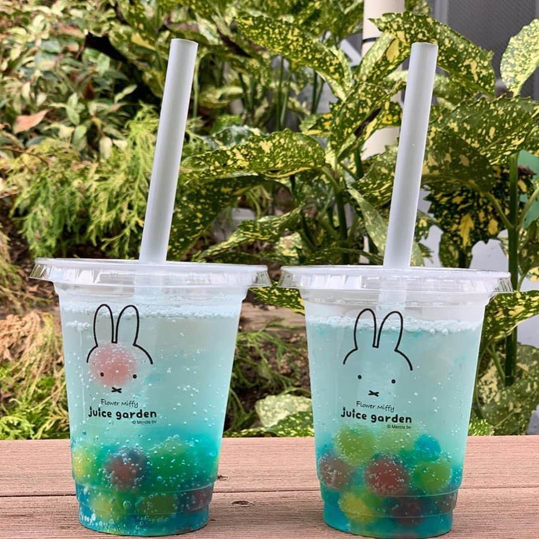 Nom de plumeさんのインスタグラム写真 - (Nom de plumeInstagram)「フラワーミッフィー juice gardenが﻿ あべのHoopで期間限定オープン🌸♡﻿ ﻿ 注目は鮮やかな色合いの﻿ ボールゼリーがたくさん入った﻿ 「カラフルゼリーソーダ」🦄✨﻿ 爽やかなソーダで清涼感たっぷり🌈﻿ 秋晴れの空の下で飲みたくなるドリンク😻✴️﻿ ﻿ 他にもビタミンたっぷりスムージーや﻿ 黒糖ゼリーが入ったカフェオレなど﻿ メニューは全部で７種類💞﻿ ﻿ 同時期にオープンした期間限定の﻿ 「フラワーミッフィー ﻿ POP UP SHOP あべのand店」も﻿ 同時に楽しめるのはここだけなんだって♡﻿ ﻿ 📍大阪府大阪市阿倍野区阿倍野筋1-2-30 Hoop1階南側﻿ 営業時間：12：00 〜 20：00﻿ 開催期間：2019年9月13日(金) 〜 2020年2月予定﻿ ﻿ −−−−−−−−−−−−−−−−−−−−−−−−−−−−﻿ ﻿ Nomdeplumeで紹介させていただける写真を募集中🧚‍♀️💜﻿ 素敵な写真が撮れたら #nomdeplume をつけるか﻿ このアカウントをタグ付けしてね💫﻿ ﻿ −−−−−−−−−−−−−−−−−−−−−−−−−−−−﻿ 🎀photo by 🎀﻿ ・@keikocchu ・@yunstagram_5 ・@i_am_kiyo24 ﻿ ◇◇◇◇◇◇◇◇◇◇◇◇◇◇◇◇◇◇◇◇◇◇◇◇◇◇◇◇◇﻿ ﻿ #nomdeplume #flowermiffy #フラワーミッフィー #ミッフィー #ジュースガーデン #フラワーミッフィージュースガーデン #キッチンカー #大阪 #あべの #あべのhoop #あべのand #miffy #期間限定﻿」9月27日 21時00分 - nomde_official