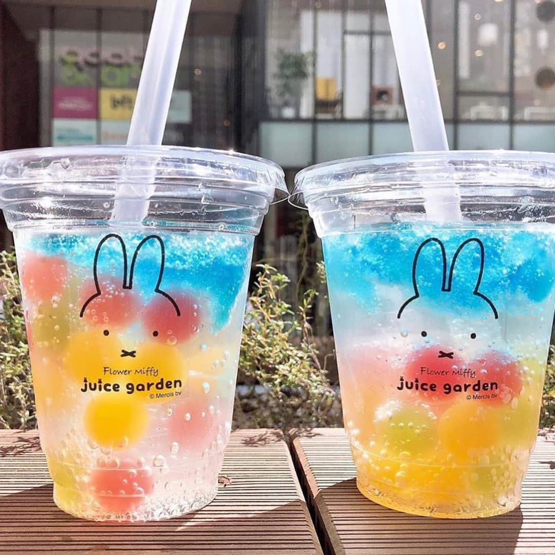 Nom de plumeさんのインスタグラム写真 - (Nom de plumeInstagram)「フラワーミッフィー juice gardenが﻿ あべのHoopで期間限定オープン🌸♡﻿ ﻿ 注目は鮮やかな色合いの﻿ ボールゼリーがたくさん入った﻿ 「カラフルゼリーソーダ」🦄✨﻿ 爽やかなソーダで清涼感たっぷり🌈﻿ 秋晴れの空の下で飲みたくなるドリンク😻✴️﻿ ﻿ 他にもビタミンたっぷりスムージーや﻿ 黒糖ゼリーが入ったカフェオレなど﻿ メニューは全部で７種類💞﻿ ﻿ 同時期にオープンした期間限定の﻿ 「フラワーミッフィー ﻿ POP UP SHOP あべのand店」も﻿ 同時に楽しめるのはここだけなんだって♡﻿ ﻿ 📍大阪府大阪市阿倍野区阿倍野筋1-2-30 Hoop1階南側﻿ 営業時間：12：00 〜 20：00﻿ 開催期間：2019年9月13日(金) 〜 2020年2月予定﻿ ﻿ −−−−−−−−−−−−−−−−−−−−−−−−−−−−﻿ ﻿ Nomdeplumeで紹介させていただける写真を募集中🧚‍♀️💜﻿ 素敵な写真が撮れたら #nomdeplume をつけるか﻿ このアカウントをタグ付けしてね💫﻿ ﻿ −−−−−−−−−−−−−−−−−−−−−−−−−−−−﻿ 🎀photo by 🎀﻿ ・@keikocchu ・@yunstagram_5 ・@i_am_kiyo24 ﻿ ◇◇◇◇◇◇◇◇◇◇◇◇◇◇◇◇◇◇◇◇◇◇◇◇◇◇◇◇◇﻿ ﻿ #nomdeplume #flowermiffy #フラワーミッフィー #ミッフィー #ジュースガーデン #フラワーミッフィージュースガーデン #キッチンカー #大阪 #あべの #あべのhoop #あべのand #miffy #期間限定﻿」9月27日 21時00分 - nomde_official