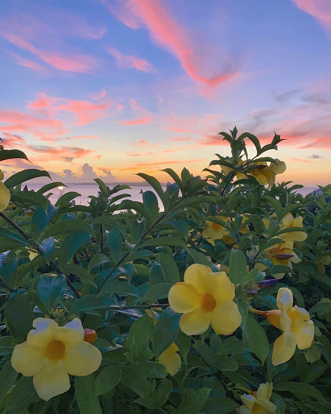 来夏さんのインスタグラム写真 - (来夏Instagram)「#💜 夏 また来年👋  カメラロールが景色でいっぱい😋📷 下ばかりみてなければ 心動かされる瞬間は いつでも見つけられるね✌🏽 #twilight #sunset #favpic」9月27日 21時05分 - rairairaika