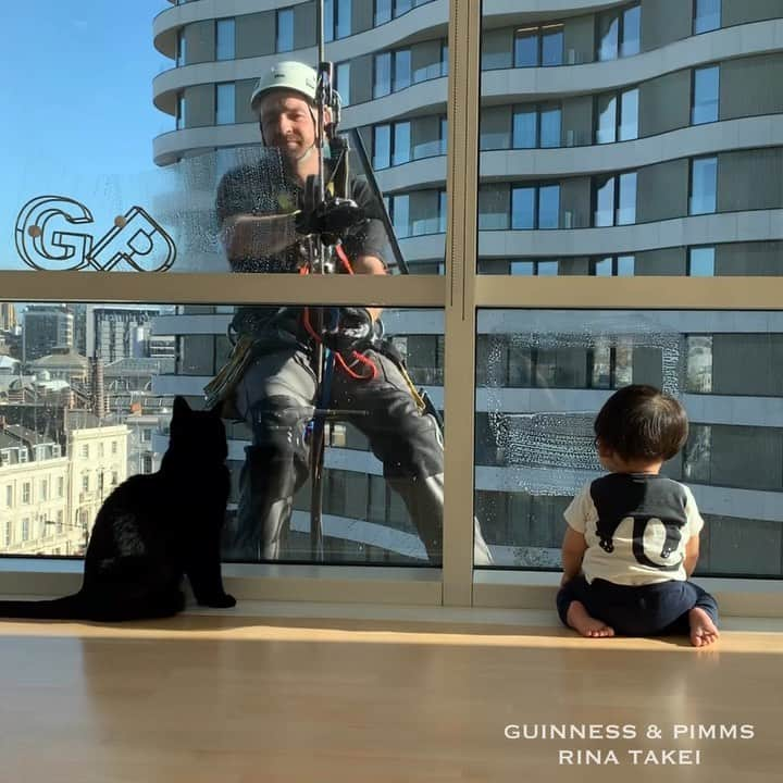 ギネス & ピムスのインスタグラム：「27/09/2019 Happy Friday! ・ They’re back once again! After a 3-month gap, and with Nagi now 9 months old, it’s window cleaning playtime at the Takei residence. Nagi can now stand up by himself and fully take part. Thankfully, Guinness allowed Nagi to be close and so there are some cute moments of these 2 brothers together. Thanks to the window cleaners’ kindness -as ever- both boys could enjoy this session on a clear blue autumnal day. ・ To see the full version, please check out my YouTube channel!  #愛猫ギネスと窓拭きおじさん ⑥⓪ ・ Have a nice weekend everyone! ・ ・ ストーリーで既に告知済みでしたが 今週は久々の窓拭きweekでした！ 前回はずり這いだった凪くんが 立ち上がっているところに 成長を感じる。笑 おじさんたちは相変わらず良い人で、 ギネスだけではなく凪くんとも 一緒に遊んで下さいました！ ちなみにあまり興味のないピムスは 私の背後で鑑賞中。 （YouTubeには映ってます笑） それにしても ギネスの隣で 嬉しそうに笑っている凪くんと 凪くんがいても、 いつもと変わらず ワイパーを追いかけるギネスを見て 時の流れを感じてしみじみ☺️ ・ フルバージョンはYouTubeへアップしています。 #愛猫ギネスと窓拭きおじさん ⑥⓪ よろしければ是非♬ ・ まだまだ動画が溜まってるので、 編集が終わり次第postします。 それでは皆さま素敵な週末を！ ・ ・ #ギネスくん #ギネピムと凪くん  #9monthsold #生後9ヶ月 #babyboy #男の子ベビー #赤ちゃんのいる生活 #赤ちゃんのいる暮らし #赤ちゃんと猫 #猫と赤ちゃん」